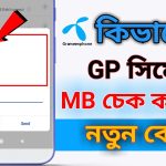 Gp Mb Check